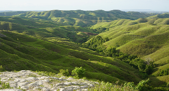 Sumba’s Women Weavers Illuminate the World with Thread and Color